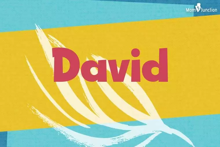 David Stylish Wallpaper