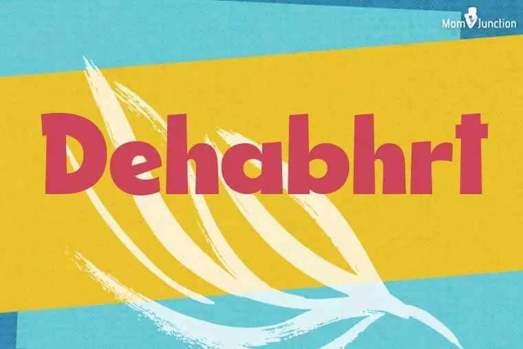 Dehabhrt Stylish Wallpaper