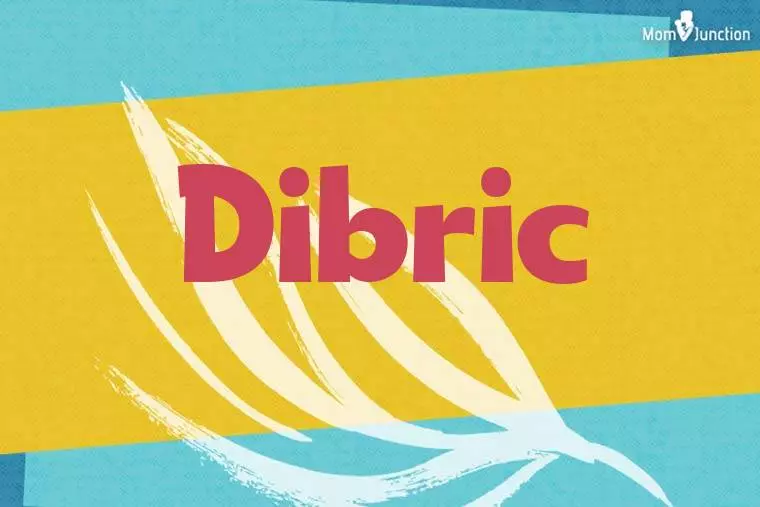 Dibric Stylish Wallpaper