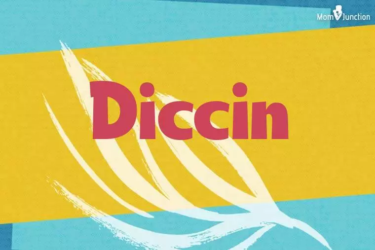 Diccin Stylish Wallpaper