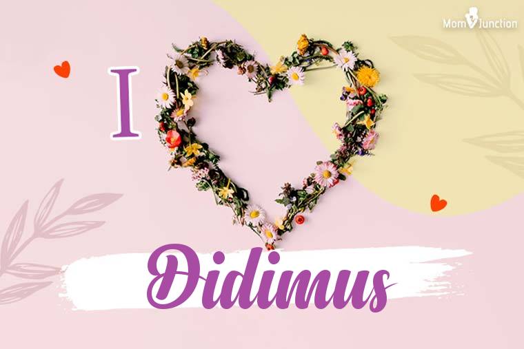 I Love Didimus Wallpaper