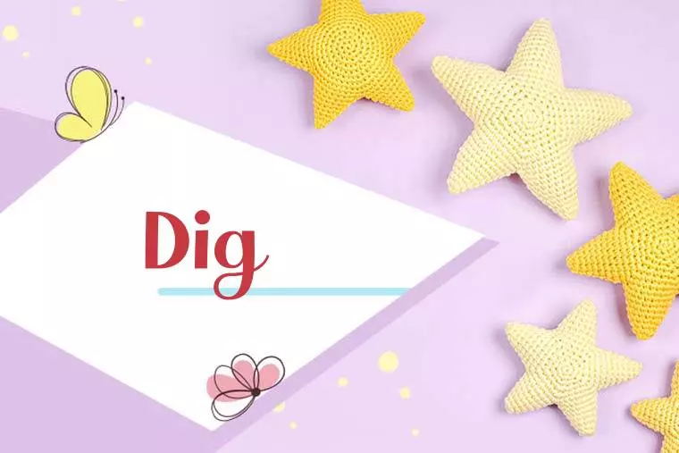 Dig Stylish Wallpaper