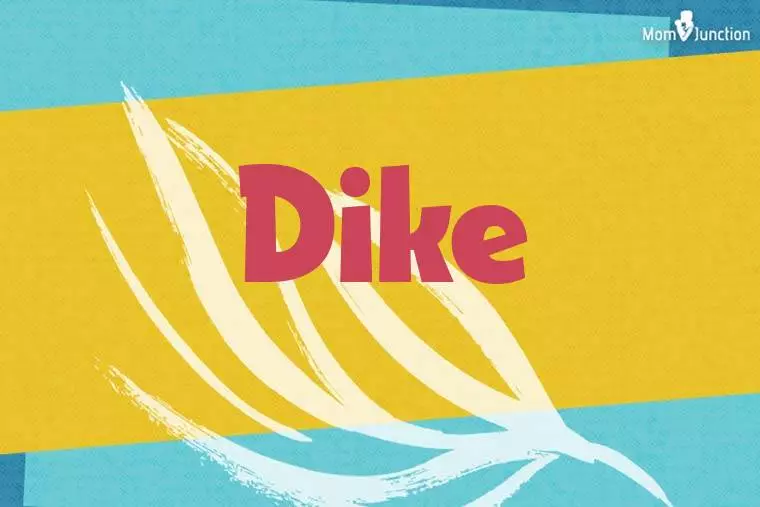 Dike Stylish Wallpaper