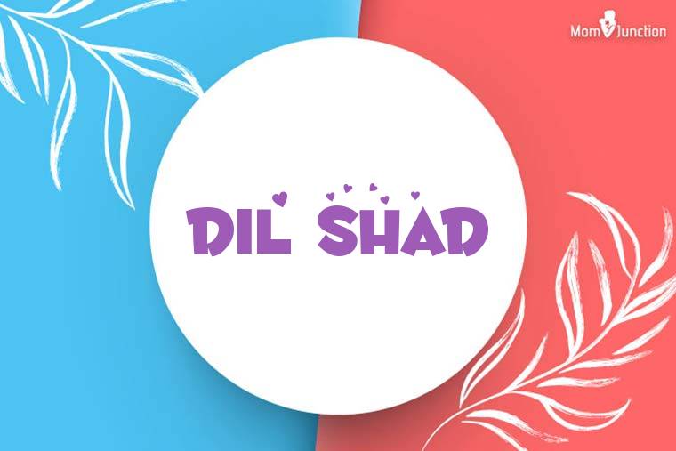 Dil Shad Stylish Wallpaper