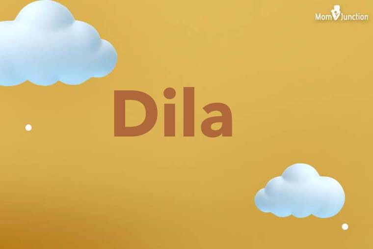 Dila 3D Wallpaper