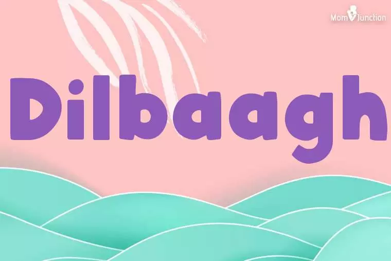 Dilbaagh Stylish Wallpaper