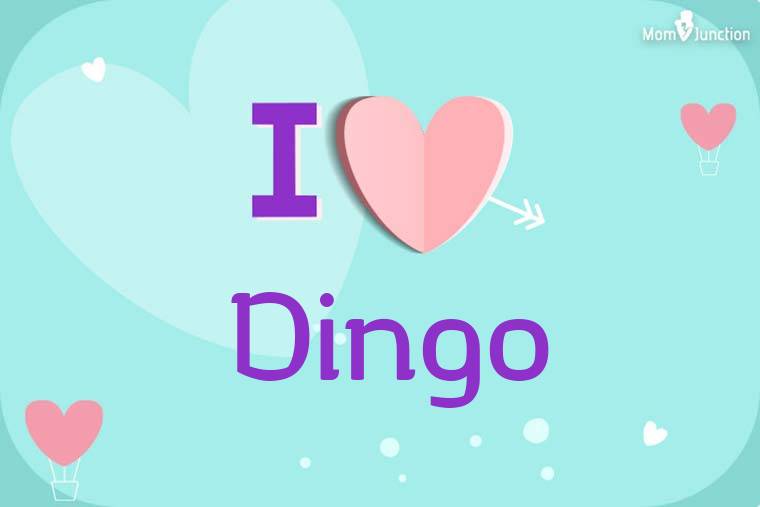 I Love Dingo Wallpaper