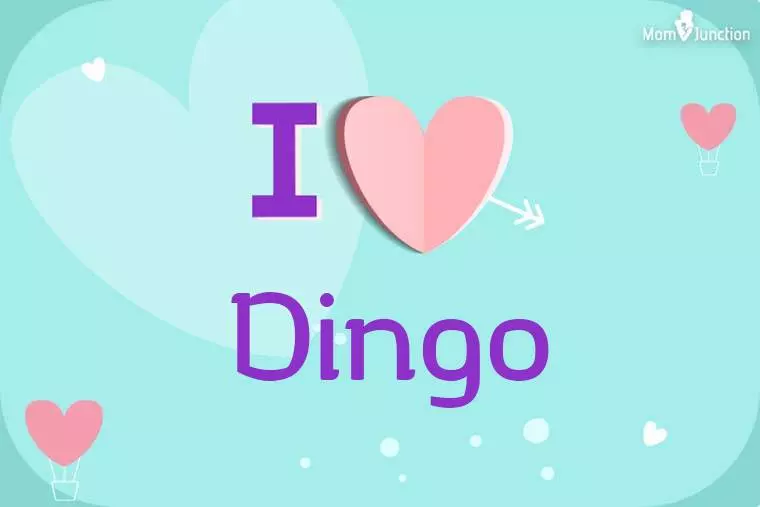 I Love Dingo Wallpaper