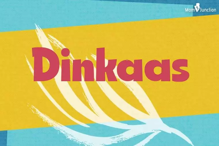 Dinkaas Stylish Wallpaper