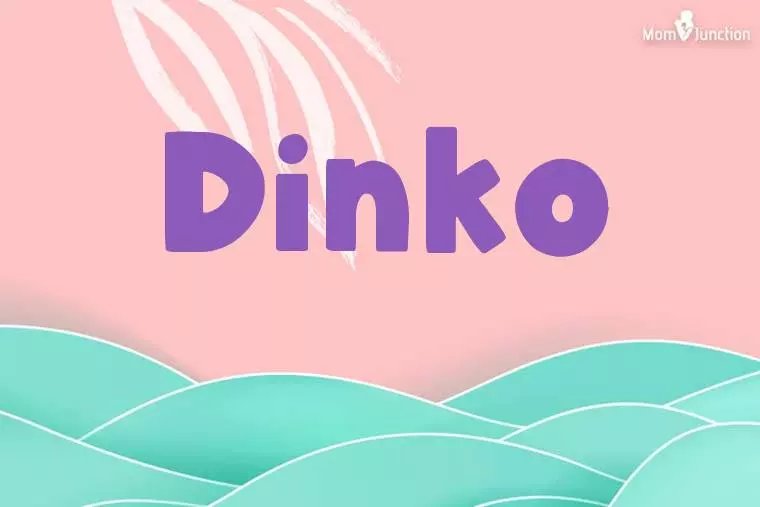 Dinko Stylish Wallpaper