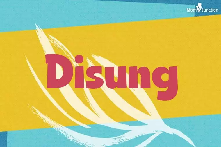 Disung Stylish Wallpaper