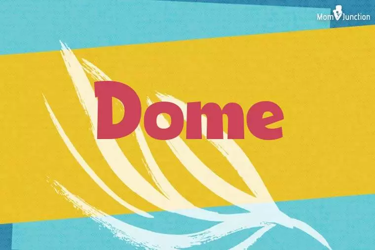 Dome Stylish Wallpaper