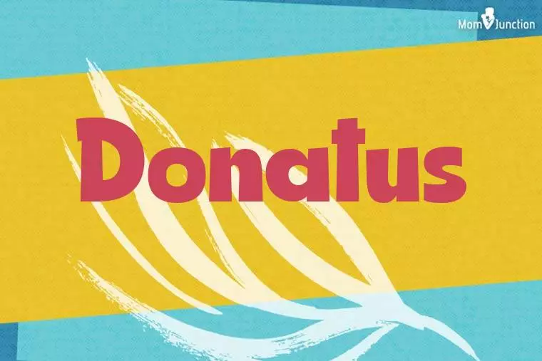 Donatus Stylish Wallpaper