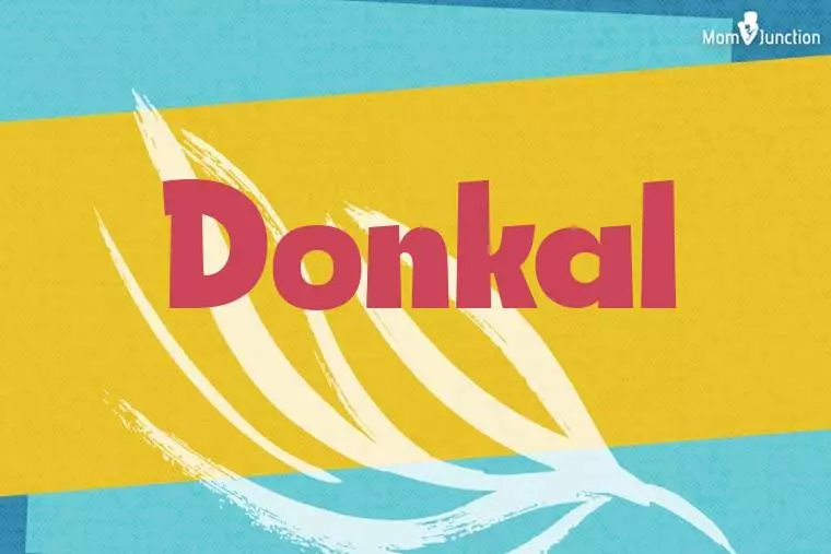 Donkal Stylish Wallpaper