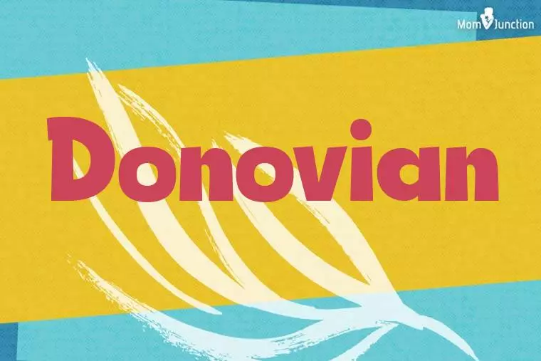 Donovian Stylish Wallpaper