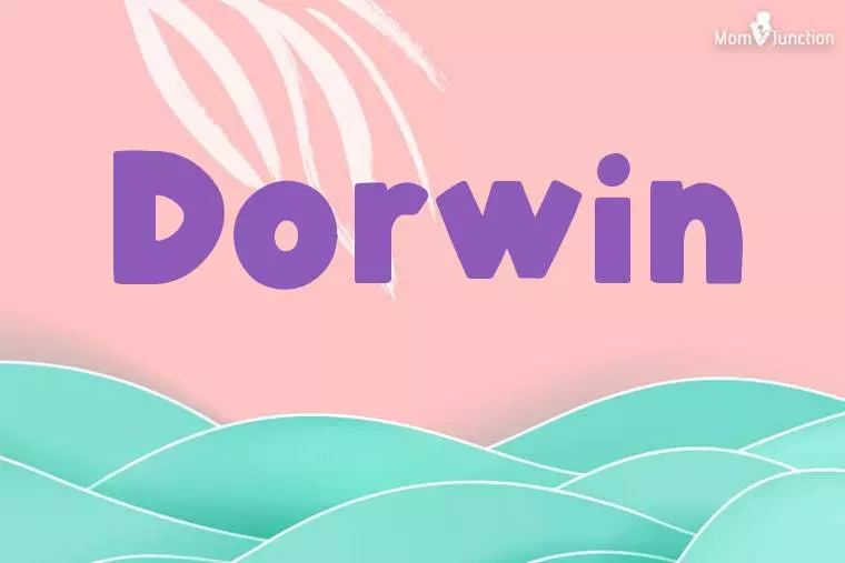 Dorwin Stylish Wallpaper