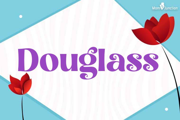 Douglass 3D Wallpaper