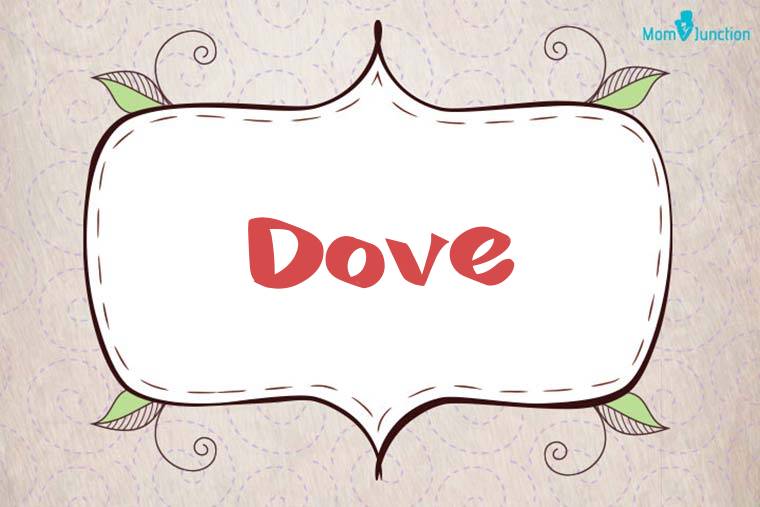 Dove Stylish Wallpaper