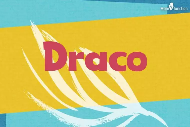 Draco Stylish Wallpaper