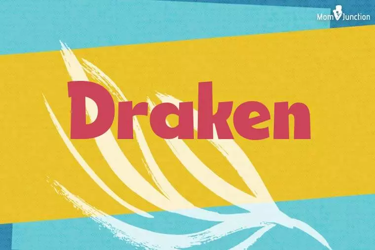 Draken Stylish Wallpaper