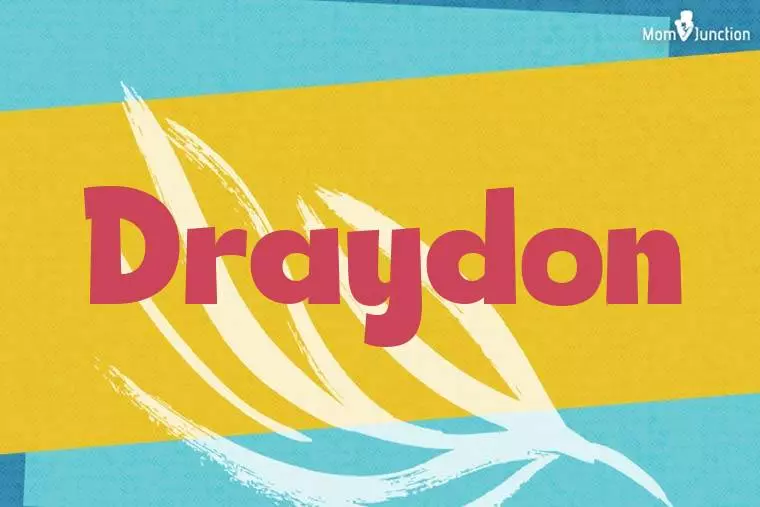 Draydon Stylish Wallpaper