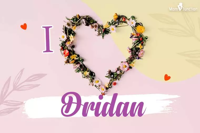 I Love Dridan Wallpaper