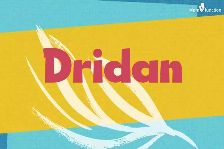 Dridan Stylish Wallpaper