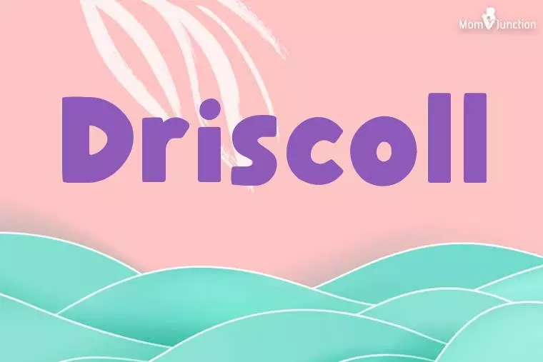 Driscoll Stylish Wallpaper