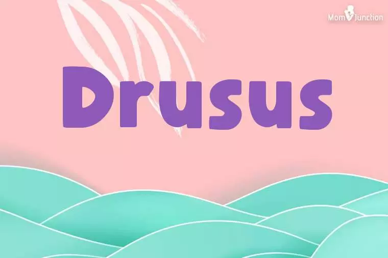 Drusus Stylish Wallpaper