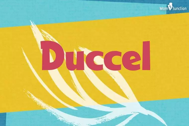 Duccel Stylish Wallpaper