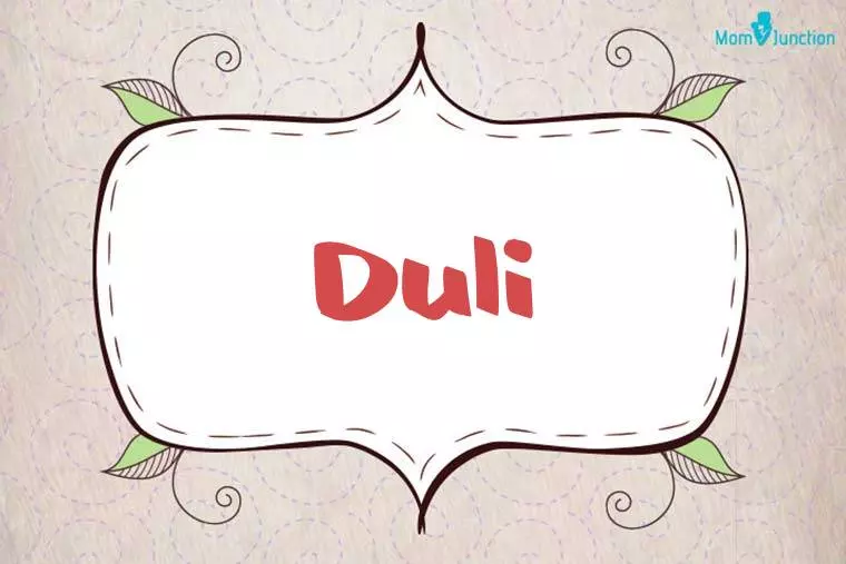 Duli Stylish Wallpaper