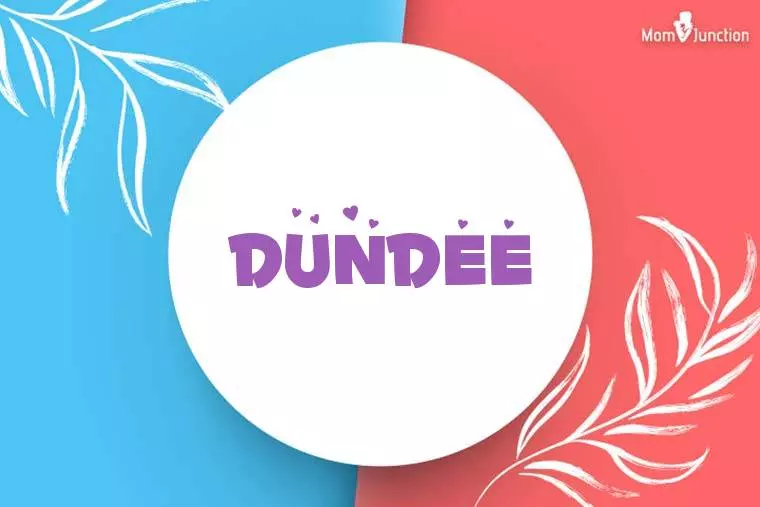 Dundee Stylish Wallpaper