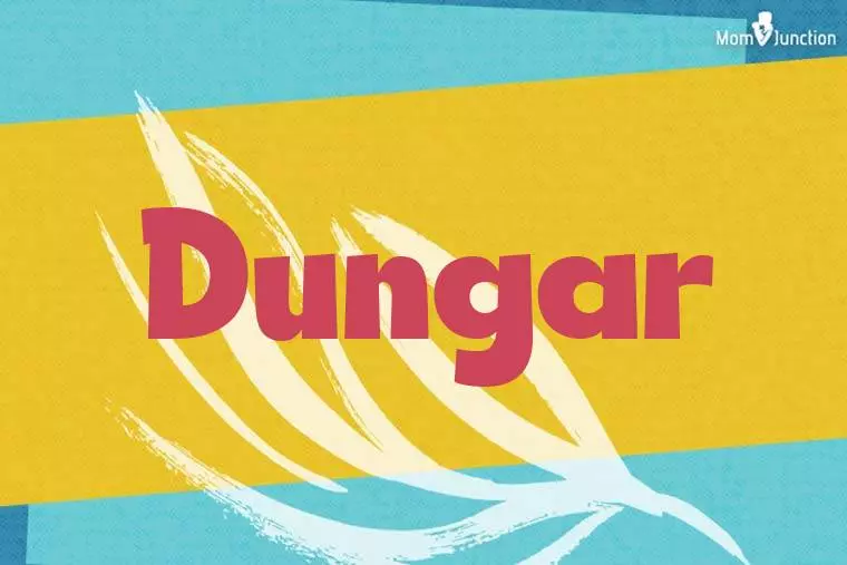 Dungar Stylish Wallpaper