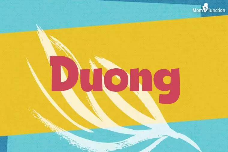 Duong Stylish Wallpaper