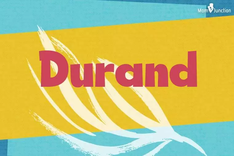 Durand Stylish Wallpaper