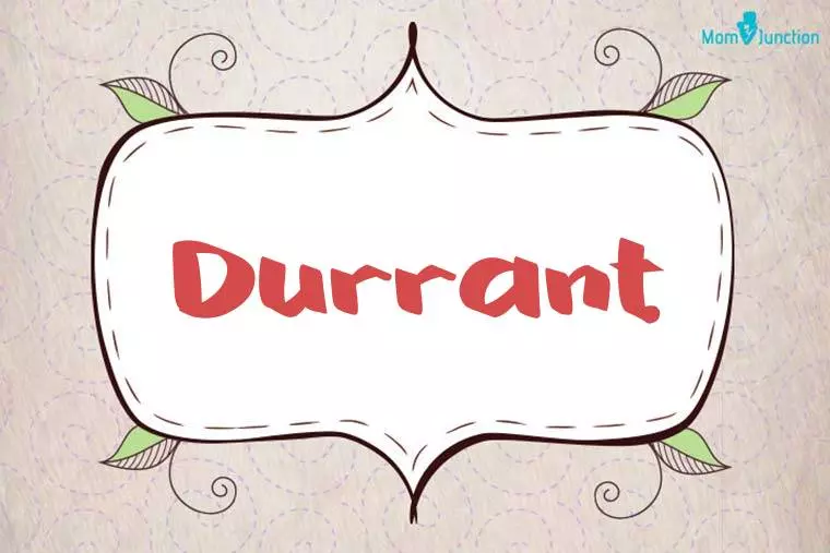 Durrant Stylish Wallpaper