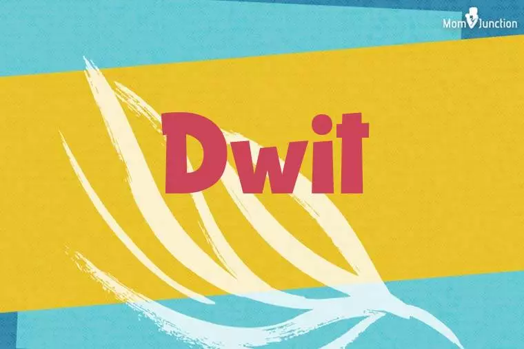 Dwit Stylish Wallpaper