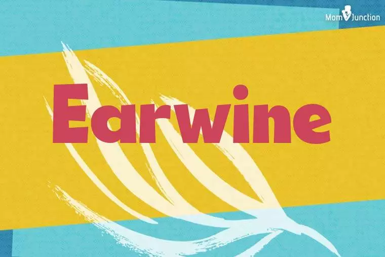 Earwine Stylish Wallpaper