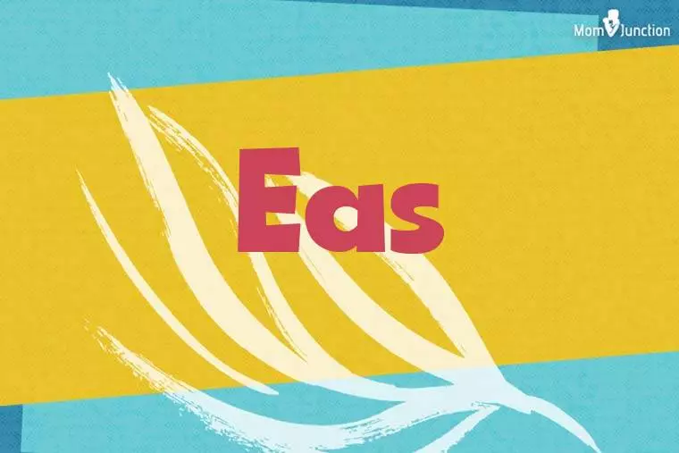 Eas Stylish Wallpaper