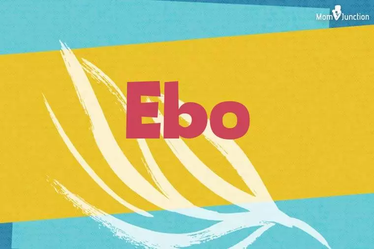 Ebo Stylish Wallpaper