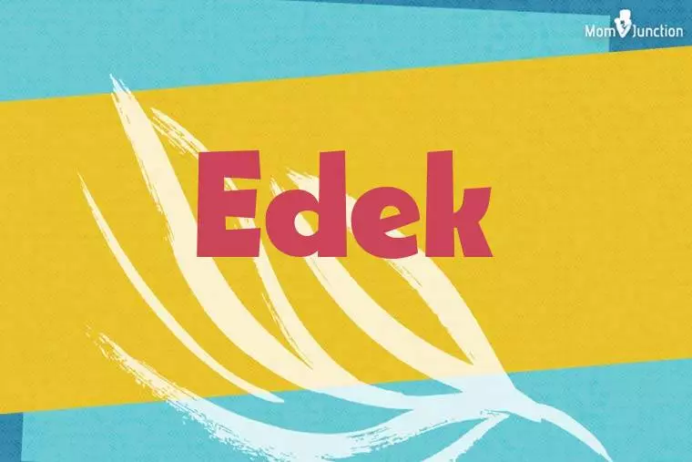 Edek Stylish Wallpaper