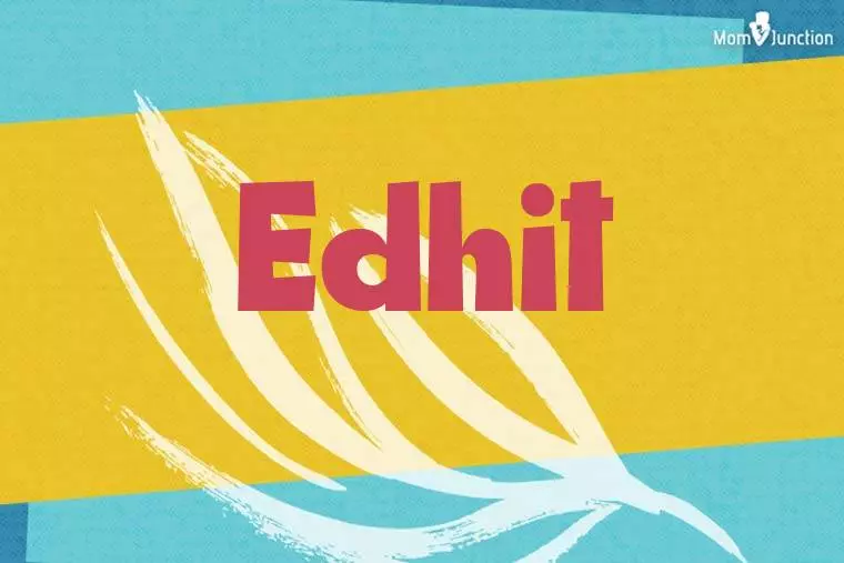 Edhit Stylish Wallpaper