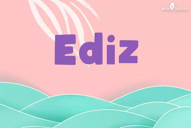 Ediz Stylish Wallpaper