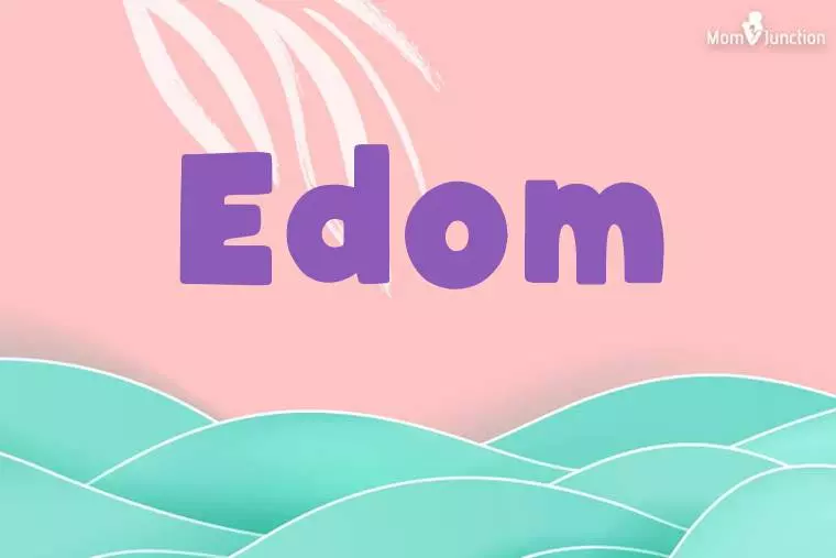 Edom Stylish Wallpaper