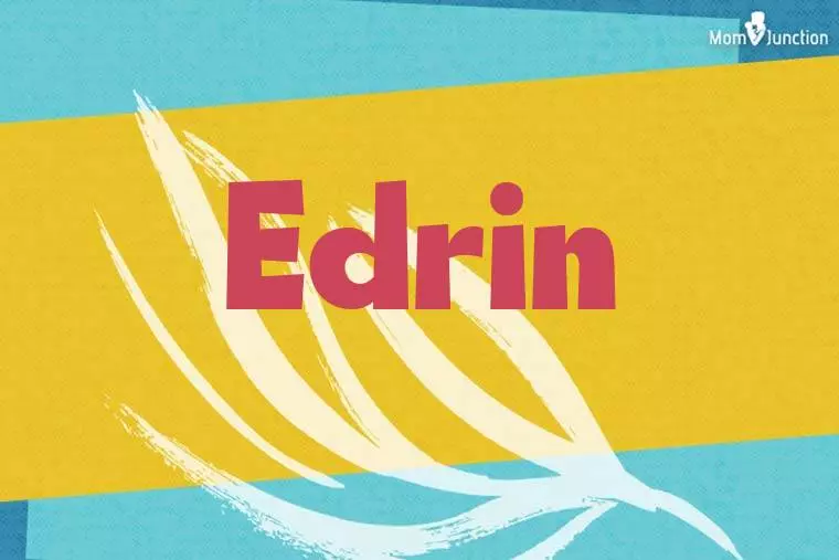 Edrin Stylish Wallpaper