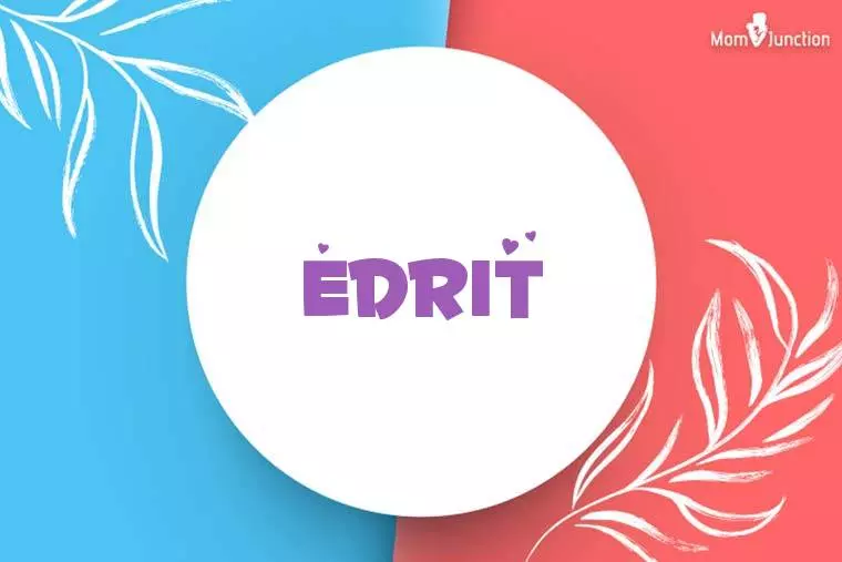 Edrit Stylish Wallpaper