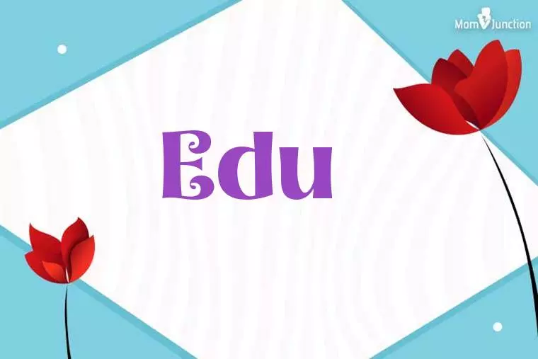 Edu 3D Wallpaper