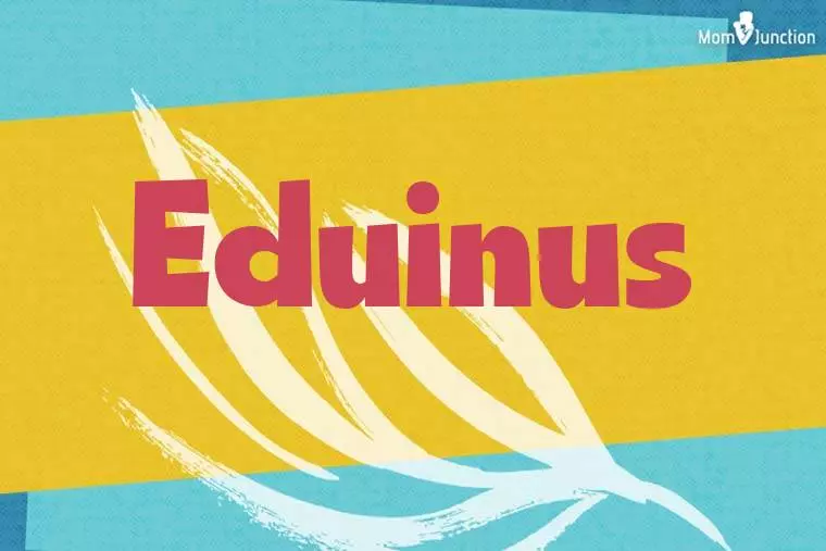 Eduinus Stylish Wallpaper