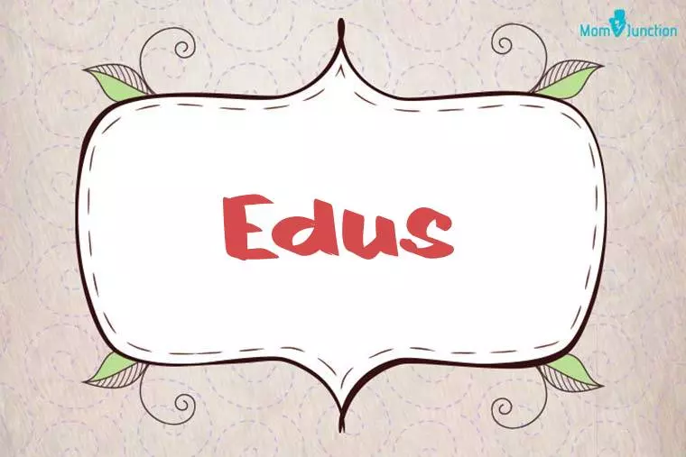 Edus Stylish Wallpaper