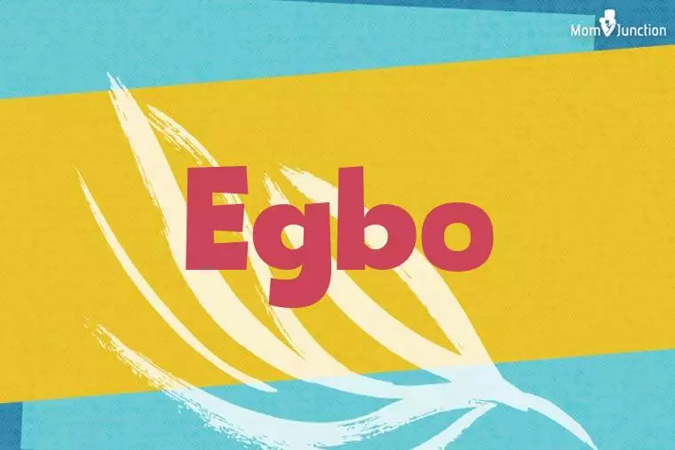 Egbo Stylish Wallpaper